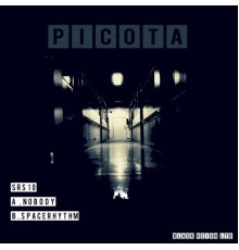 Picota - Nobody / Space Rhythm