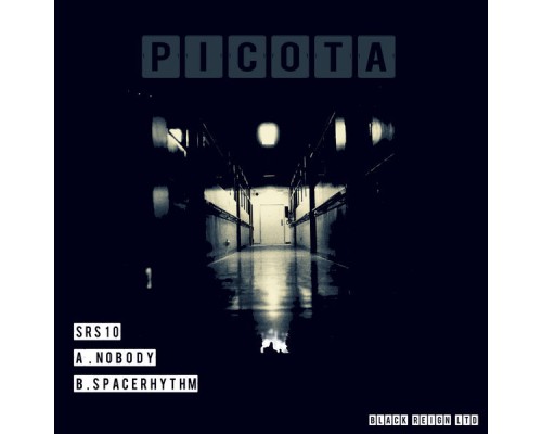 Picota - Nobody / Space Rhythm