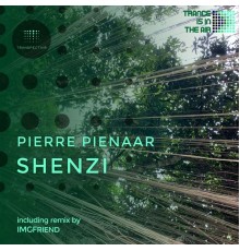 Pierre Pienaar - Shenzi