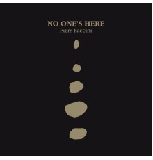 Piers Faccini - No One's Here