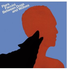Piers Faccini - Between Dogs and Wolves