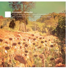 Pieter Wispelwey - Paolo Giacometti - Schubert & Brahms: The Complete Duos (Vol. 2) - Trockne Blumen