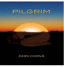 Pilgrim - Dawn Chorus