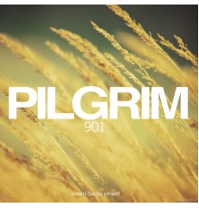 Pilgrim - 901