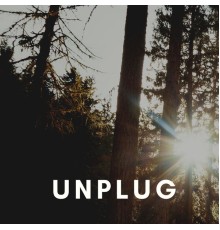 Pilot - Unplug