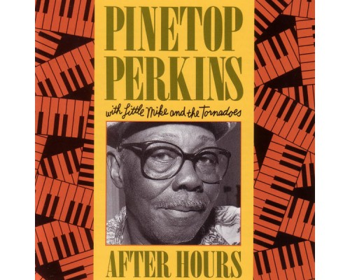 Pinetop Perkins - After Hours