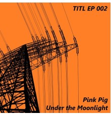 Pink Pig - Under the Moonlight