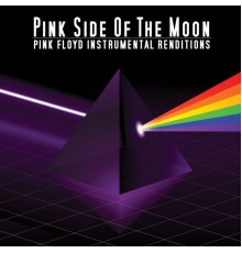 Pink Side Of The Moon - Pink Floyd Instrumental Renditions