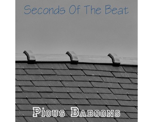 Pious Baboons - Seconds Of The Beat Pious Baboons - Seconds Of The Beat