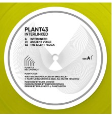 Plant43 - Interlinked