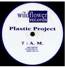 Plastic Project - 7: A. M.