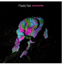 Plastic Tree - Ammonoidea