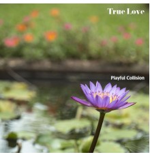 Playful Collision - True Love