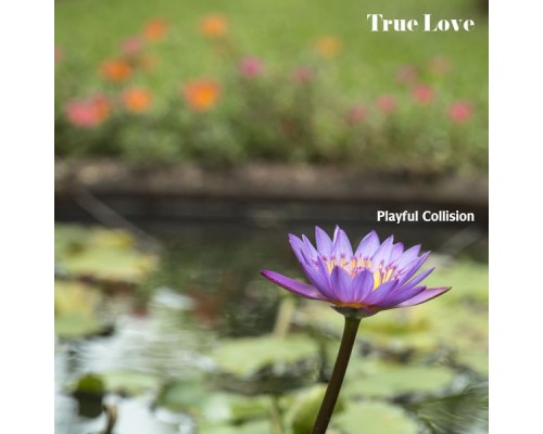 Playful Collision - True Love