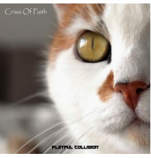 Playful Collision - Crisis Of Faith