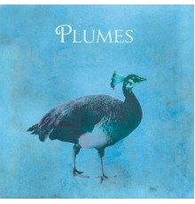 Plumes - Plumes