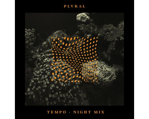 Plural - TEMPO (NIGHT MIX)