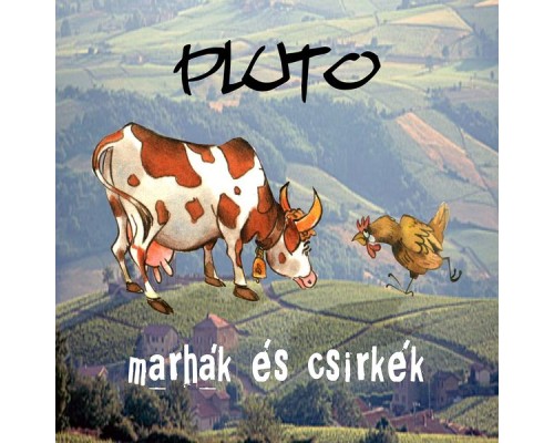 Pluto - Marhák és csirkék