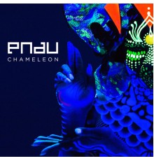 Pnau - Chameleon