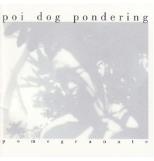 Poi Dog Pondering - Pomegranate