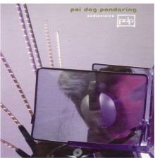 Poi Dog Pondering - AudioVisivo