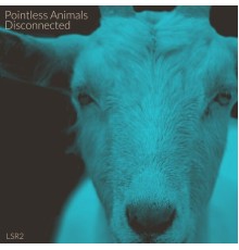 Pointless Animals - Disconnected