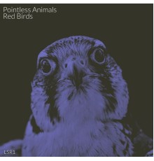 Pointless Animals - Red Birds