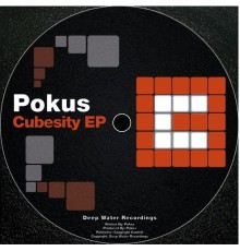 Pokus - Cubesity (Original Mix)