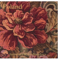 Poland - Tuesdays & Wednesdays