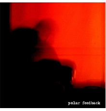 Polar - Feedback