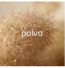 Polvo - Lado A