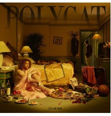 PolyCat - Pillow War