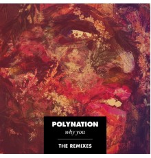 Polynation - Why You (The Remixes)