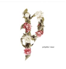 Polyphia - Muse