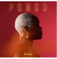 Pongo - Baia