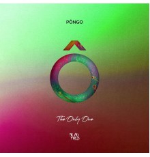 Pongo - The Only One