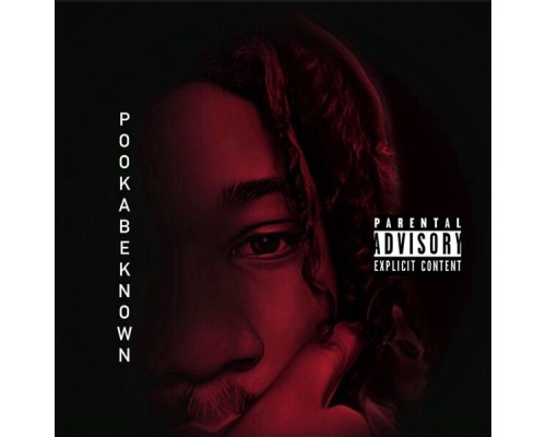 Pooka - Pookabeknown