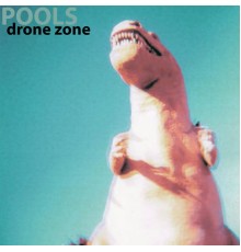 Pools - Drone Zone EP