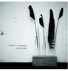 Poppy Ackroyd - Feathers