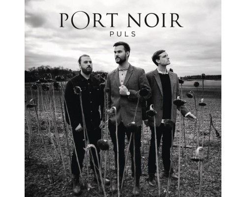 Port Noir - Puls