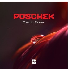 Poschek - Cosmic Flower (Original Mix)