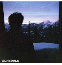 Post Animal - Schedule