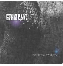 Post Noise Syndicate - Syndicate