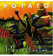 Potato - Plantala