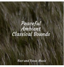 PowerThoughts Meditation Club, Schlaflieder Fur Kinder, The Sleep Helpers - Peaceful Ambient Classical Sounds