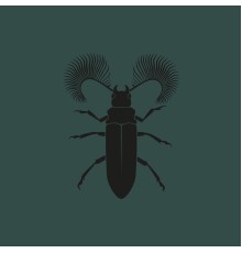 Pozek - Featherhorned Beetle EP