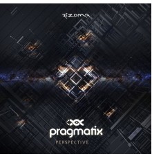 Pragmatix - Perspective