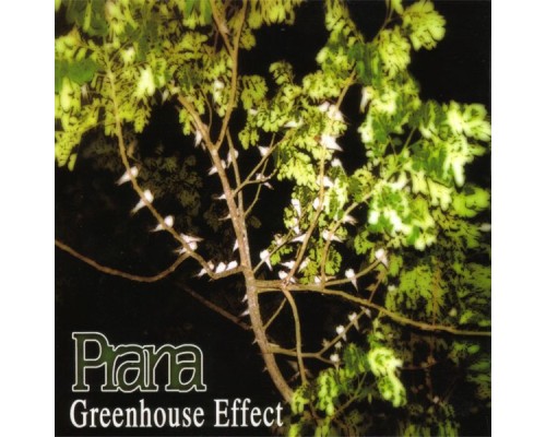 Prana - Greenhouse Effect