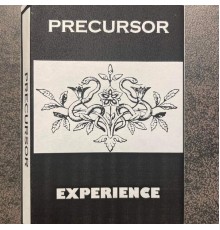 Precursor - Experience (1997)