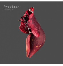 Preditah - FABRICLIVE 92: Preditah